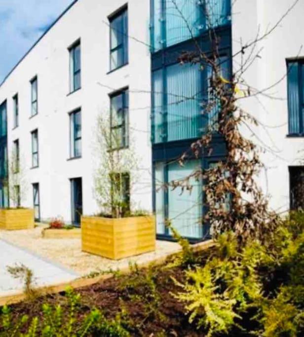 Ormeau Road Stylish Double Bedroom Luxury Apartment Belfast Exteriör bild